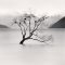 kenna_wanaka_lake_tree