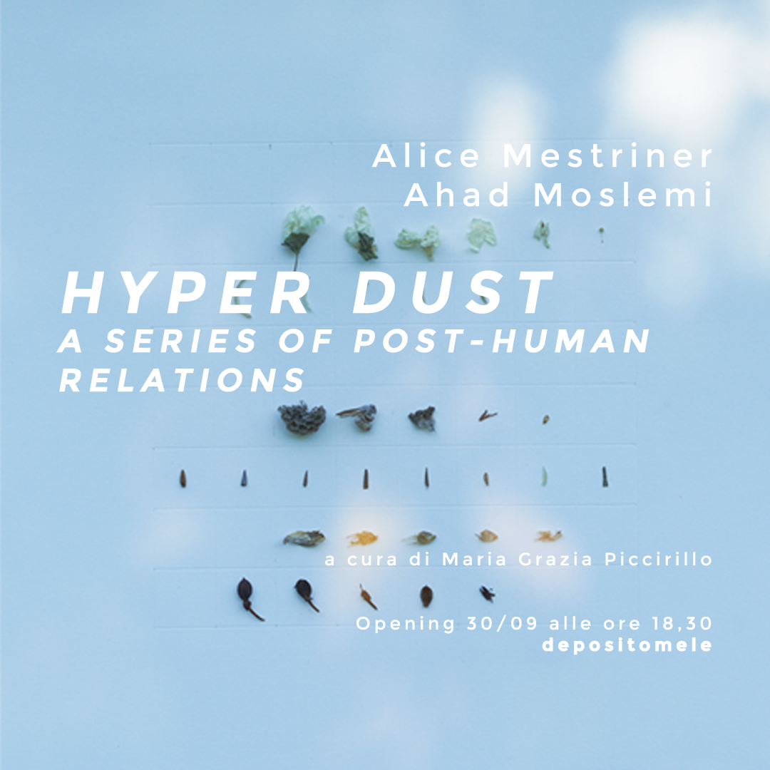 locandina_depositomele