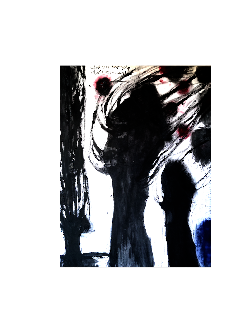 ulivi 2021 per stampa piccola