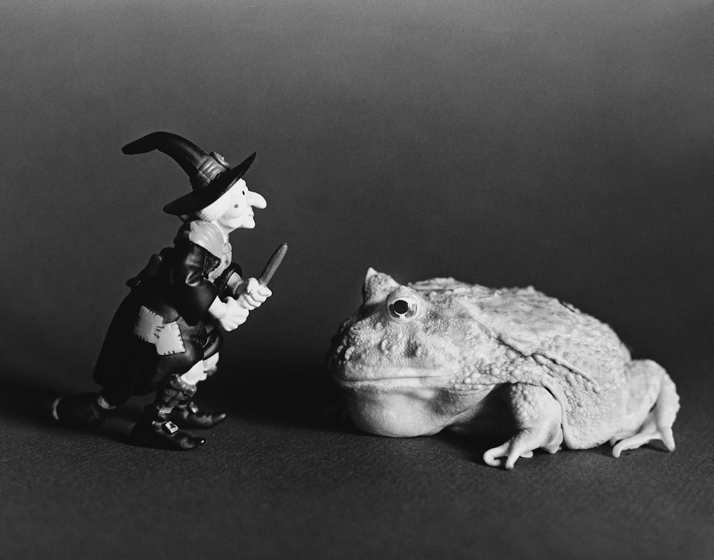 © copyright David McEnery